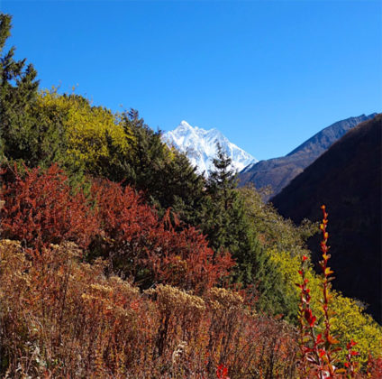 Colors of the Mountains